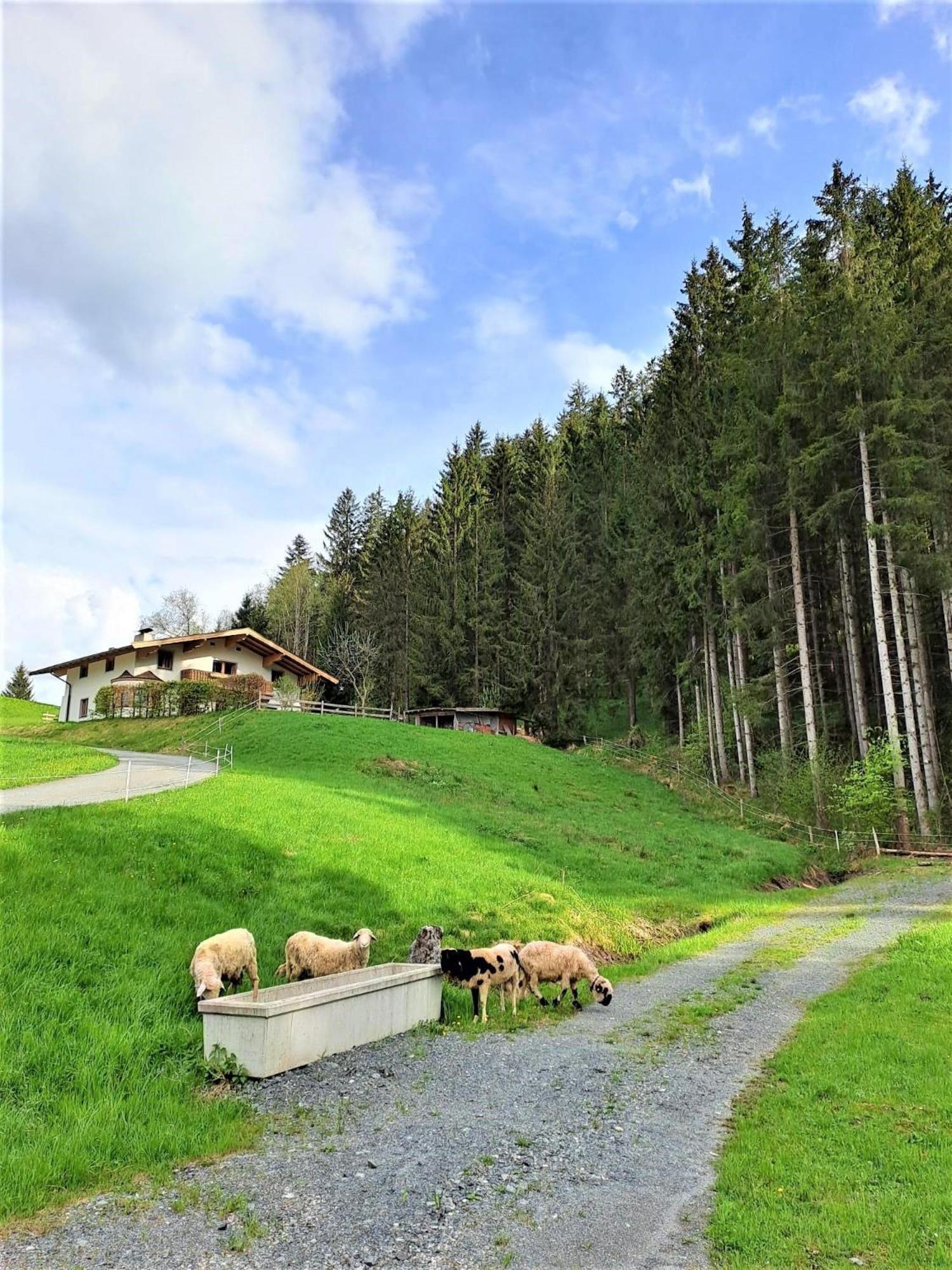 Ferienhaus Hansl Prama Exterior photo